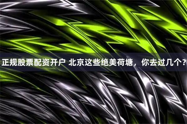 正规股票配资开户 北京这些绝美荷塘，你去过几个？